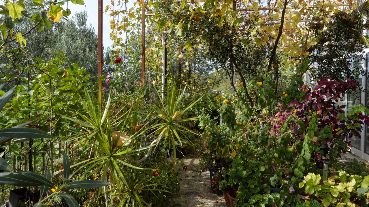 20221103 103410•Radovici•Coastalregion•Montenegro